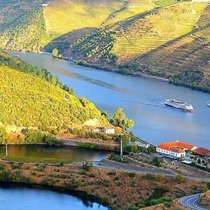 Meet your Posher, Carlos